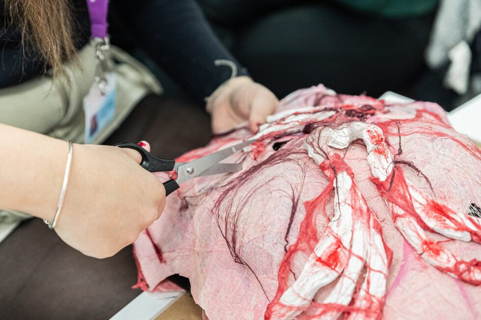 photography of school art work in Yorkshire primary and secondary schools
