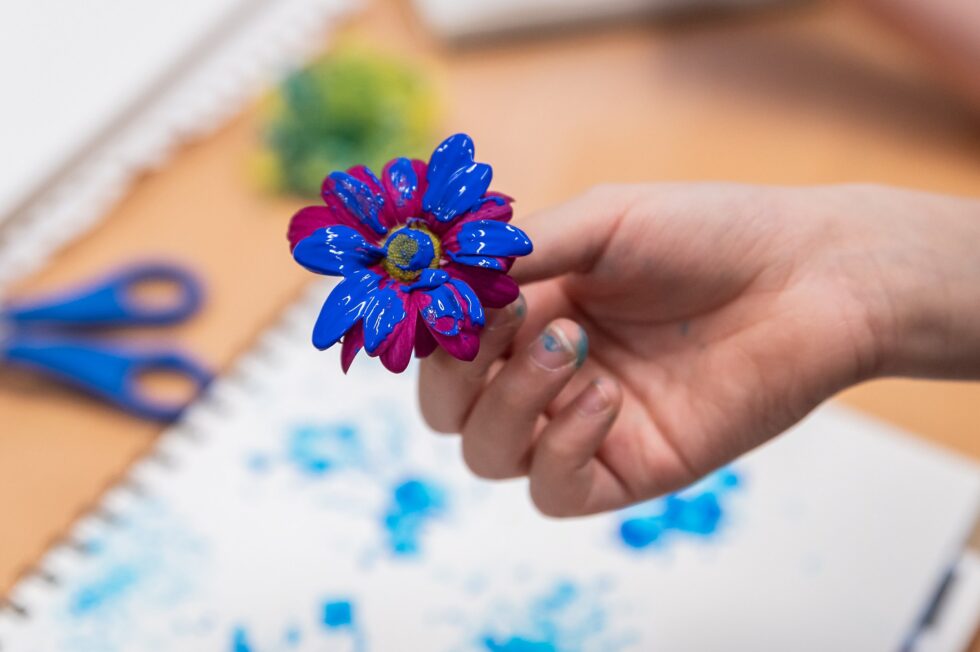 photography of school art work in Yorkshire primary and secondary schools