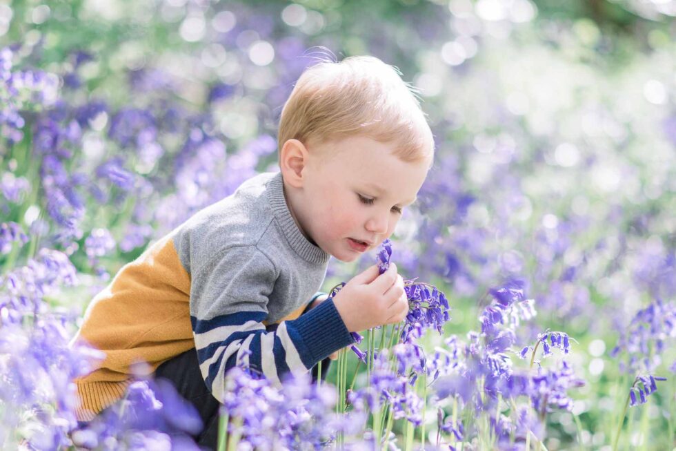 Young boy smelling bluebells during a family photography session in the woods near Ilkley, West Yorkshire